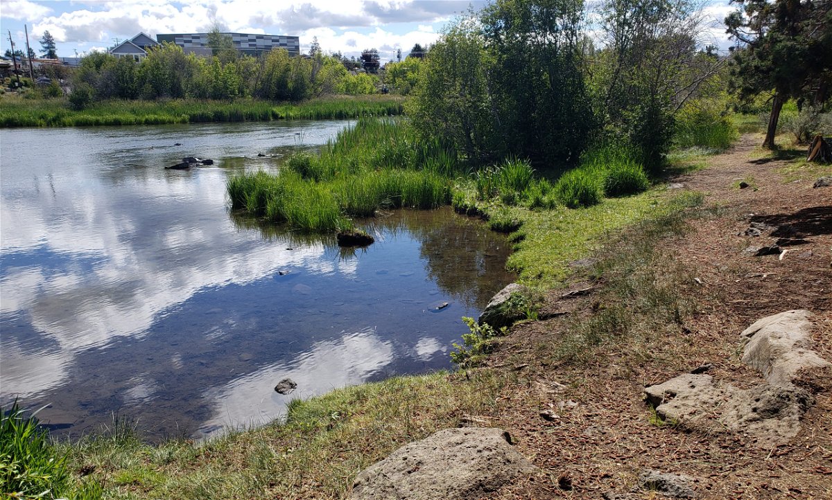 Riverfront area of Sawyer Park in Bend