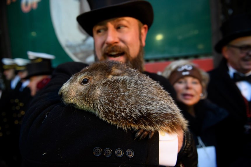 "Punxsutawney Phil"  Looks For His Shadow At Annual Groundhog Day Ritual In PA