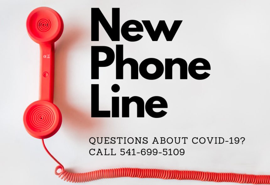 COVID-19 phone line 317