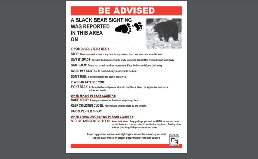 Black bear sighting flyer ODFW