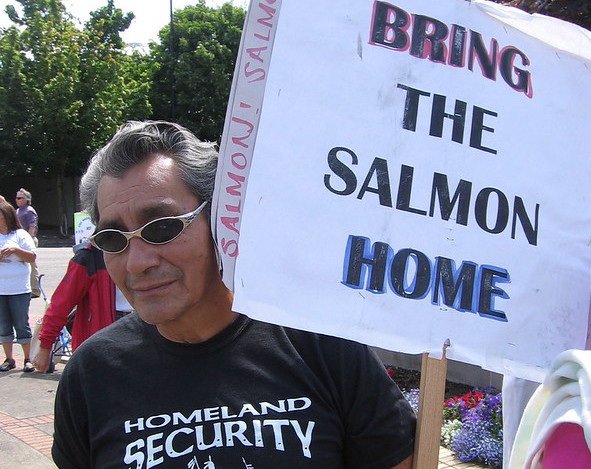 Salmon protest Flickr