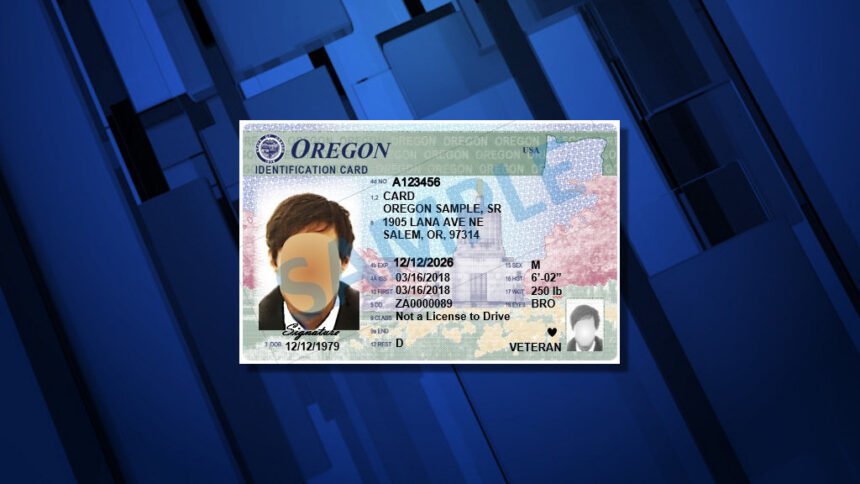Oregon DMV ID identification card