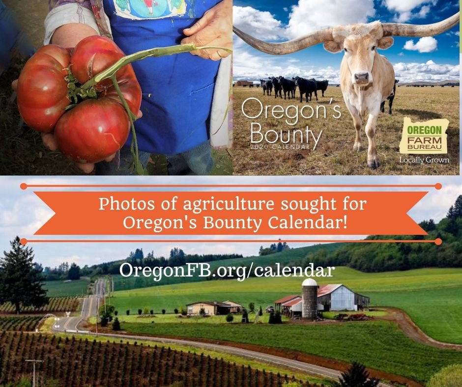 Oregon Farm Bureau seeks agriculture photos for 2021 'Oregon's Bounty