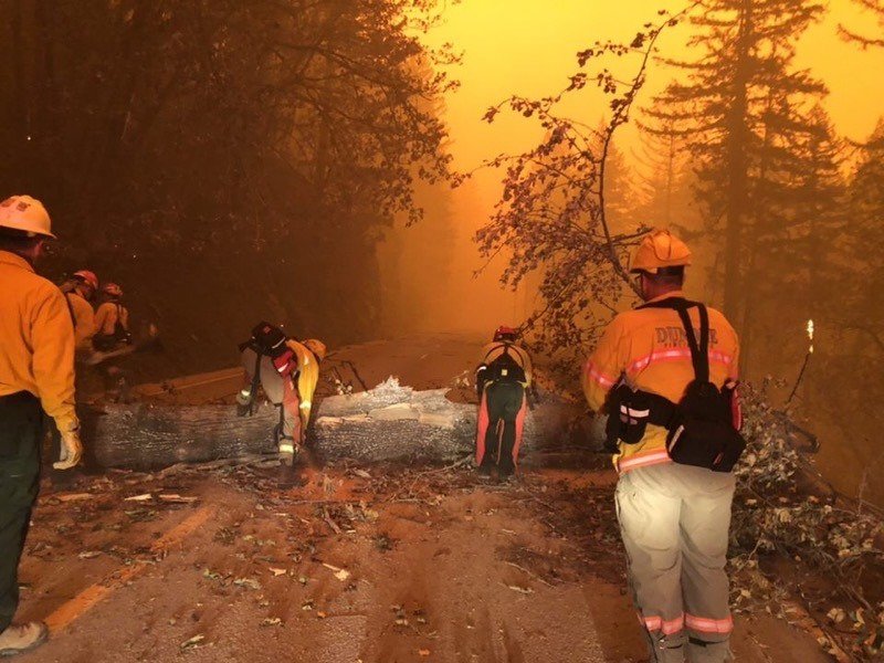 Crews clear roads to reach evacuees, trapped firefighters on Holiday Farm Fire
