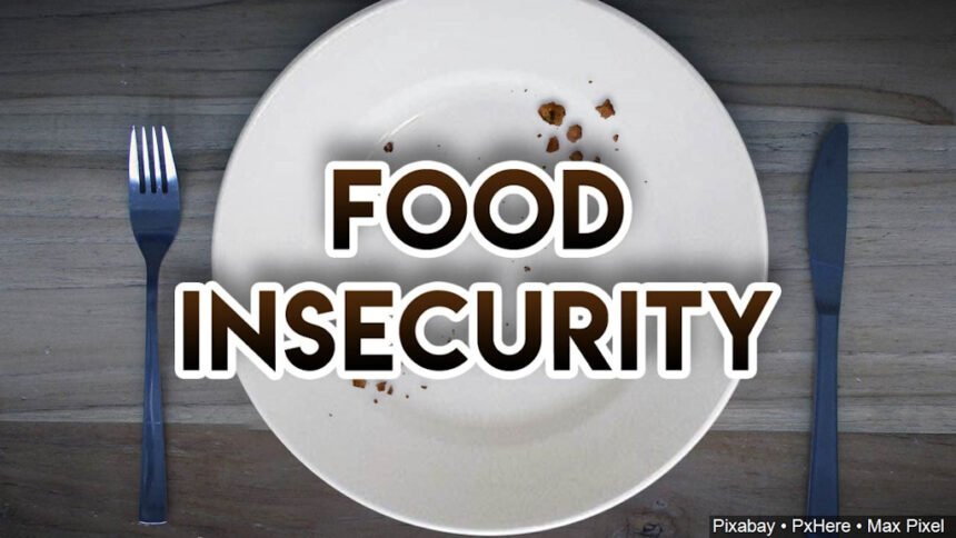 Food insecurity MGN