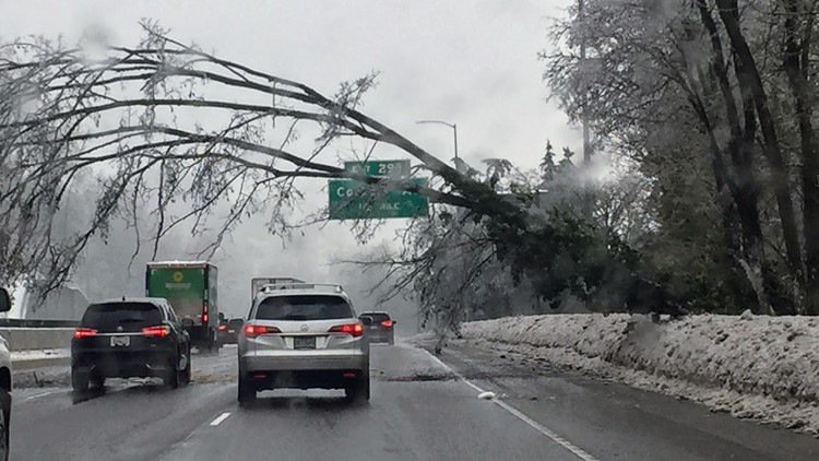 Leaning tree Portland ice storm 215