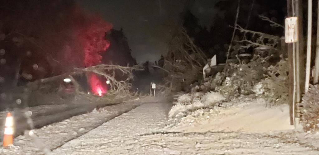 Downed trees blocked Hwy. 42 in West Linn