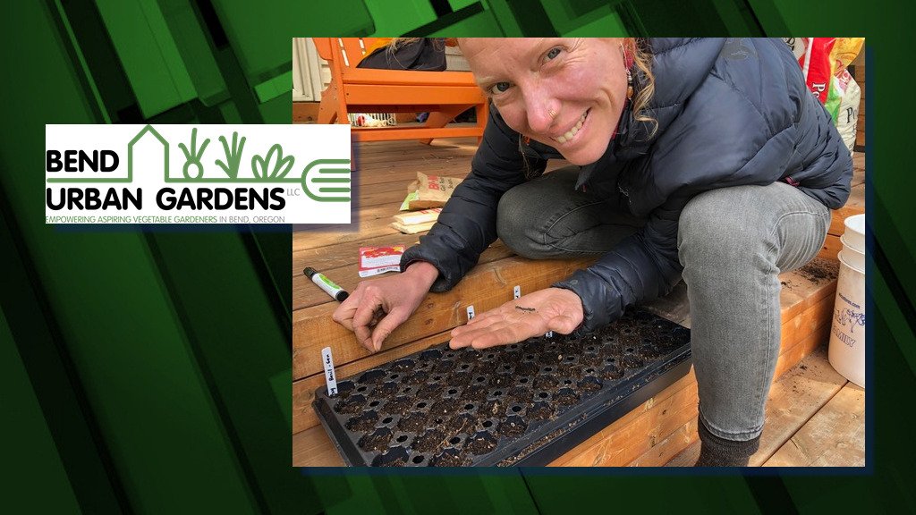 Alicia Viani, a new local gardener sowing seeds for her garden