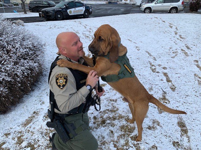 Deschutes County Sheriff's Deputy Donny Patterson and his partner, bloodhound K-9 Copper, have earned a national certification