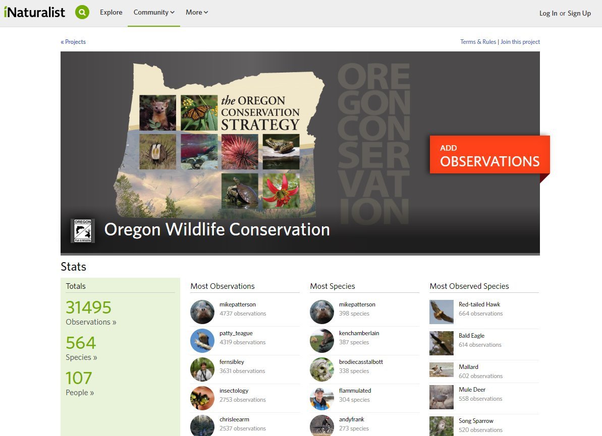 ODFW’s iNaturalist project offers unique opportunities for community science in Oregon