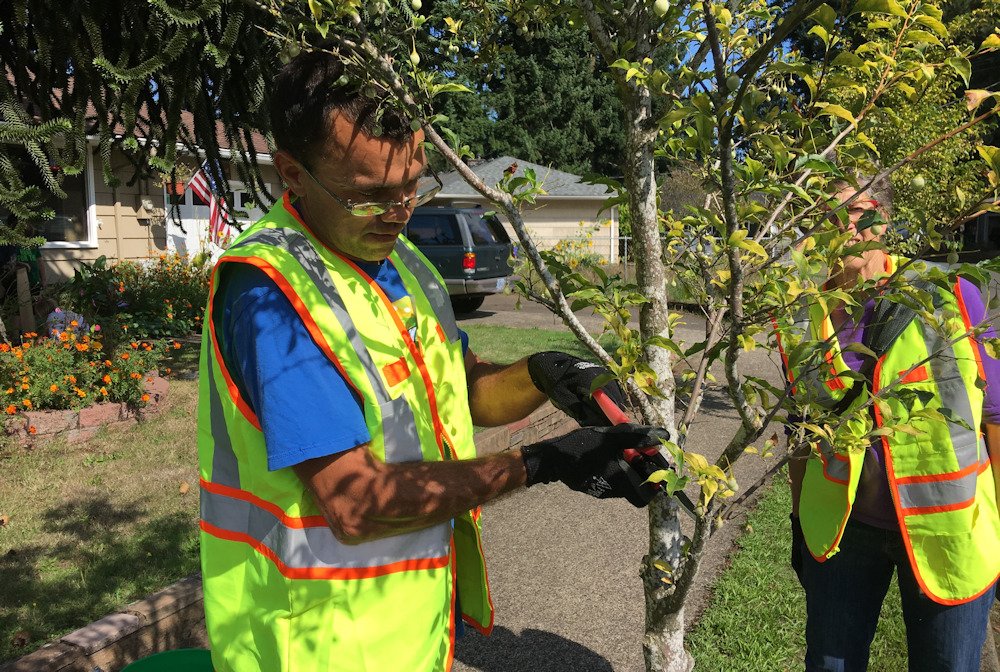Oregon communities which build their urban forestry programs as a Tree City USA community can qualify for a Growth Award from the Arbor Day Foundation.