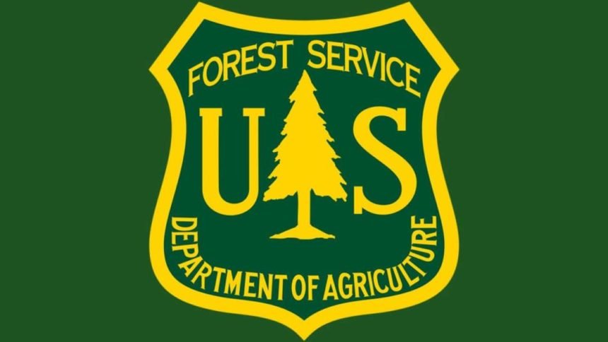 Forest Service plans nearly 20,000 acres of vegetation treatment, road closures near Green Ridge