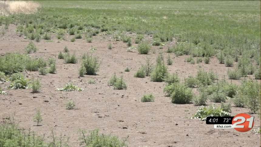 Deschutes County Commissioners To Ask Gov. Brown For Drought Status ...