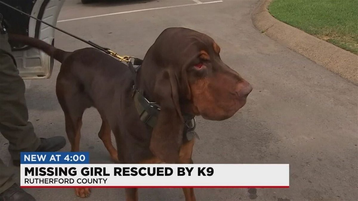 <i>WSMV</i><br/>A bloodhound with the Rutherford County Sheriff's Office is being credited with helping locate a missing 6-year-old girl.