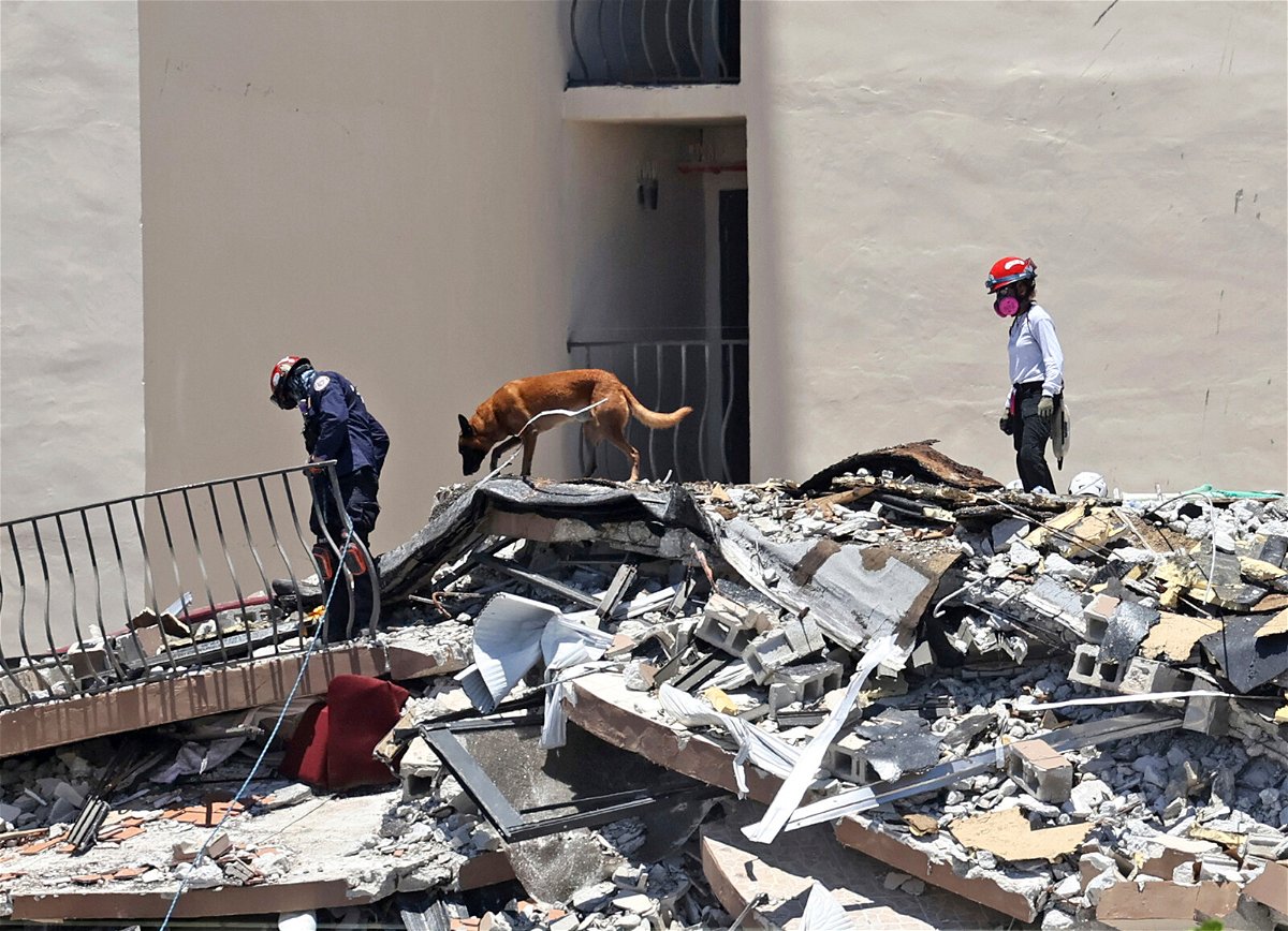 <i>David Santiago/AP</i><br/>Search and rescue personnel search for survivors through the rubble with their dogs at the Champlain Towers South in Surfside