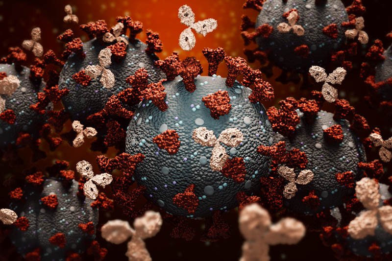 3-D rendering illustration of monoclonal antibodies or immunoglobulin fighting against a group of coronavirus or Covid cells 