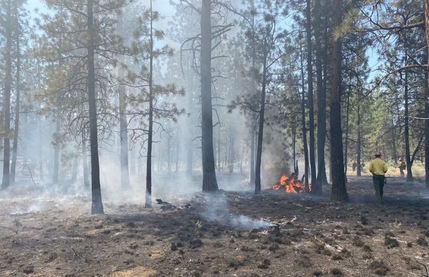 Escaped cooking fire USFS Sisters 71-2