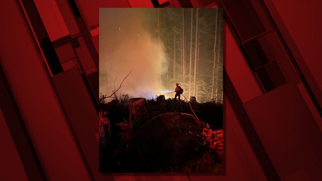 Crews work late Tuesday on the Game Hog Creek Fire in the Tillamook State Forest