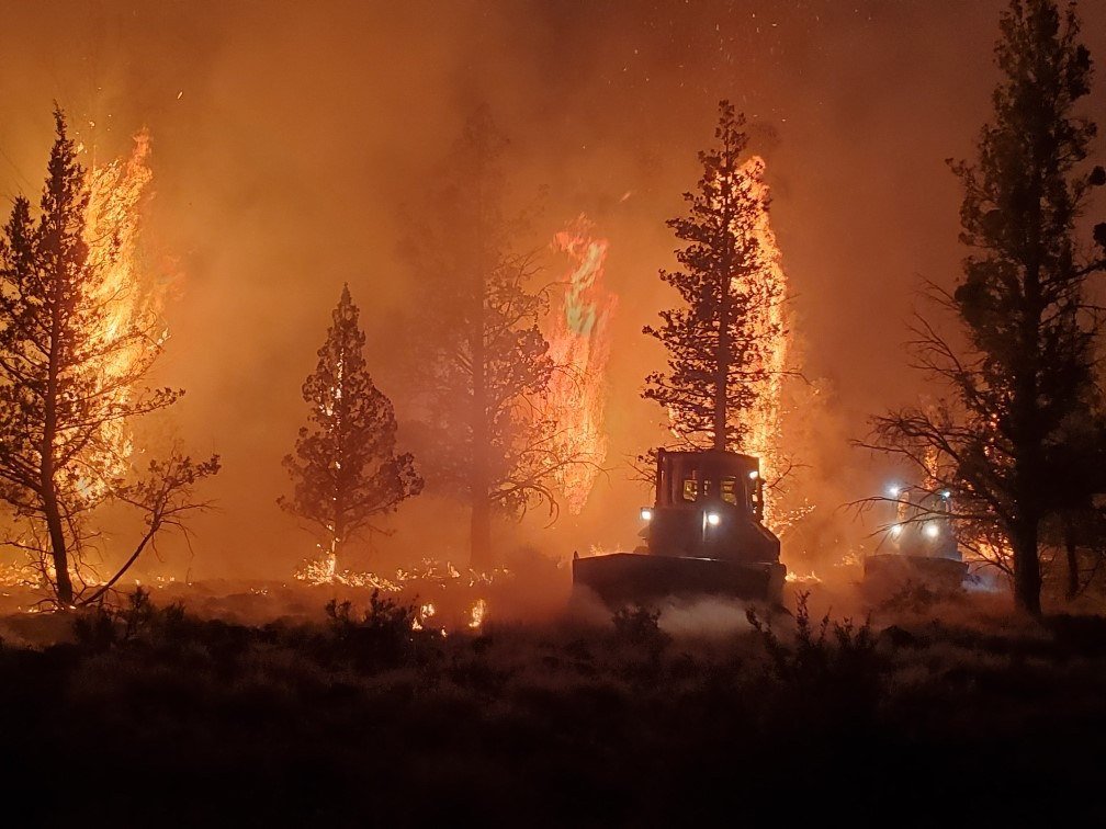 Trees torch and ignite after dark on the Grandview Fire in July 2021