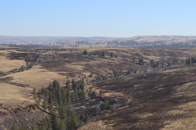 Rattlesnake Fire burned on Warm Springs Reservation, Prineville BLM lands.