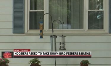 Officials continues to urge people to put away birdbaths and bird feeders due to an outbreak of songbird disease.
