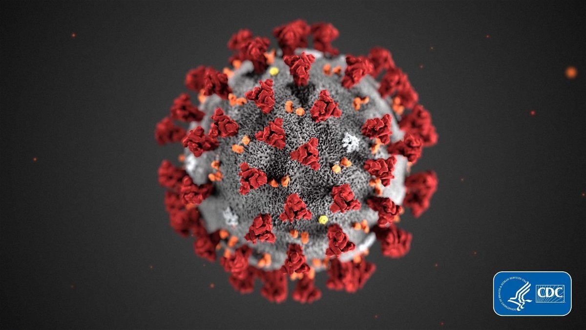 <i>CDC</i><br/>The CDC's model of the coronavirus is shown here. The CDC says fully vaccinated people are less likely than unvaccinated people to become infected with the coronavirus.