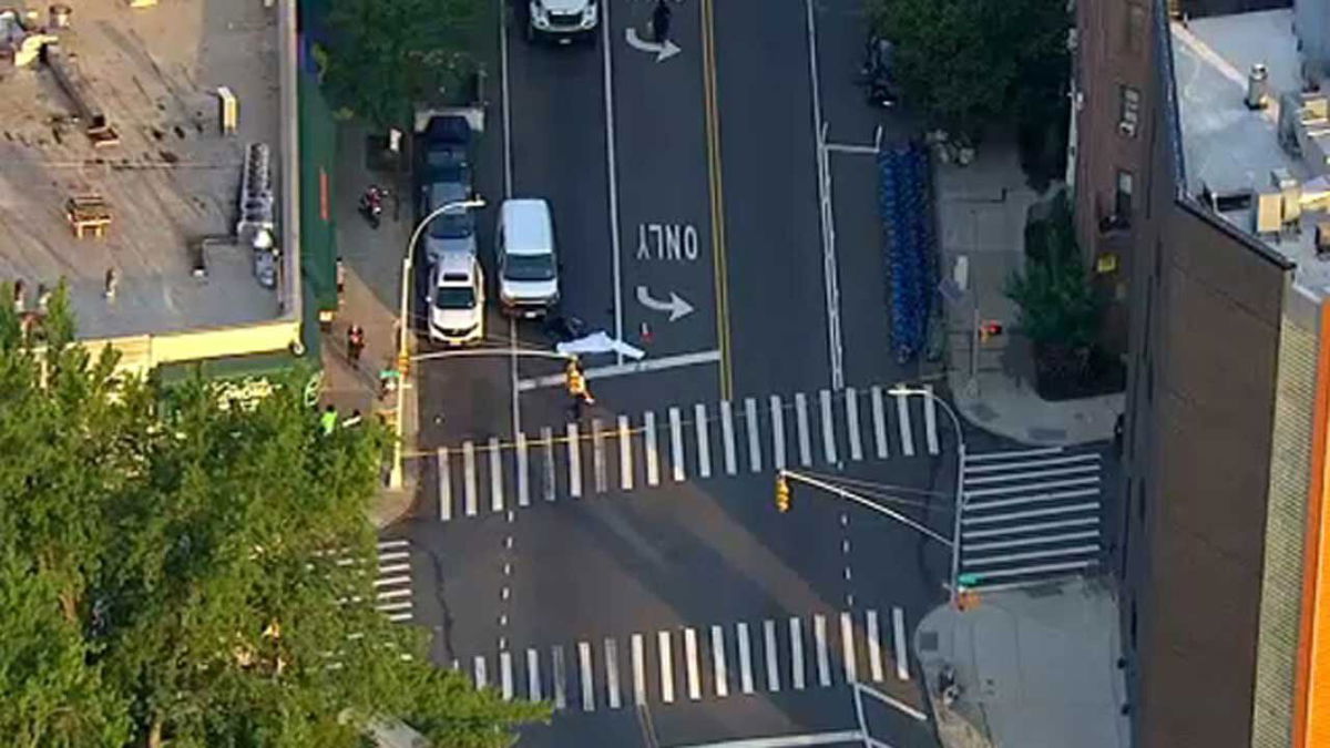 <i>WABC</i><br/>A deliveryman on a moped was fatally struck by a van in the Windsor Terrace section of Brooklyn Thursday morning.