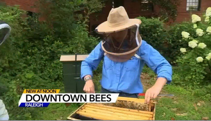 <i>WTVD</i><br/>Bee Downtown has now installed 350 hives at more than 70 corporation campuses all over the southeast. Each of them providing an opportunity to learn and share their knowledge.