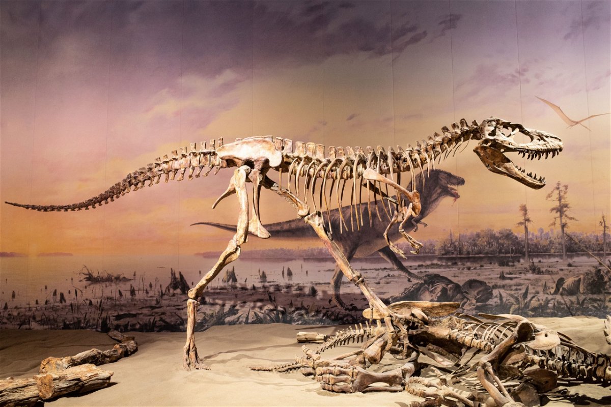 <i>Shutterstock</i><br/>A new study suggests that dinosaurs were in decline for as many as 10 million years before the asteroid that hit off the coast of what is now Mexico dealt the final death blow and that this decline impeded their ability to recover.