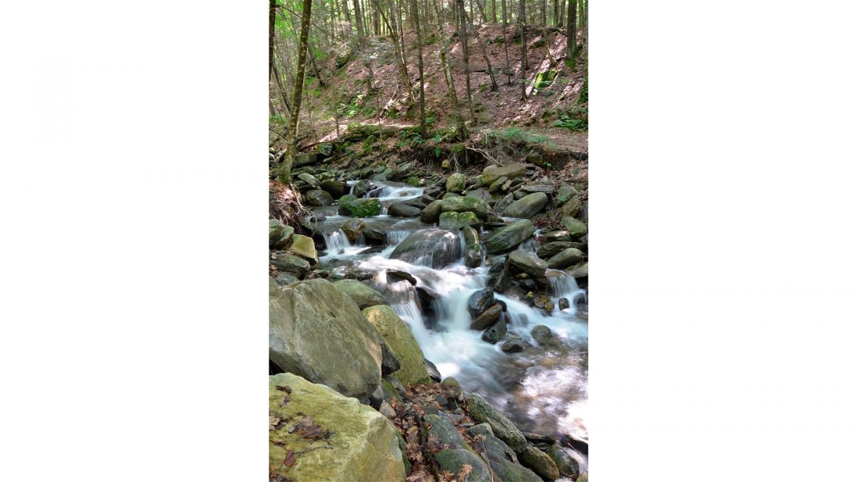 <i>Brattleboro Reformer/AP</i><br/>Negro Brook in Vermont flows through Townshend State Park. The brook is in the process of being renamed.