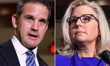 A growing group of rank-and-file House Republicans wants House Minority Leader Kevin McCarthy and GOP leadership to punish Reps. Liz Cheney and Adam Kinzinger for accepting a position from House Speaker Nancy Pelosi to serve on the select committee investigating the January 6 insurrection.