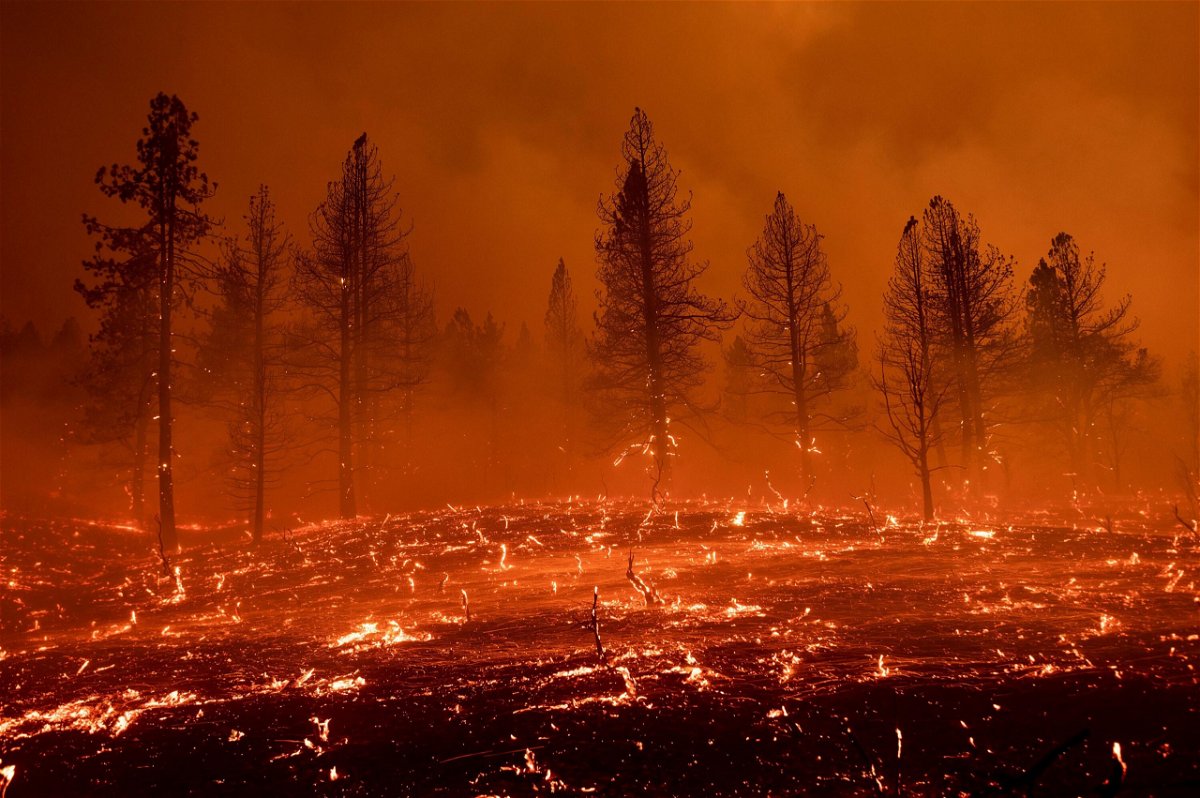 <i>Noah Berger/AP</i><br/>Embers float across a field in the Beckwourth Complex Fire in California on July 9. The Biden administration has chosen longtime EPA scientist Allison Crimmins to lead the next National Climate Assessment
