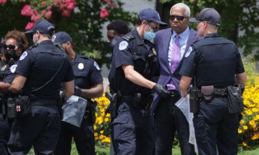 Rep. Hank Johnson of Georgia is arrested by US Capitol Police during a protest outside Hart Senate Office Building on July 22.