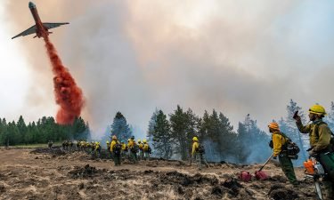 Wildland firefighters watch and take video with their cell phones as a plane drops fire retardant on Harlow Ridge above the Lick Creek Fire