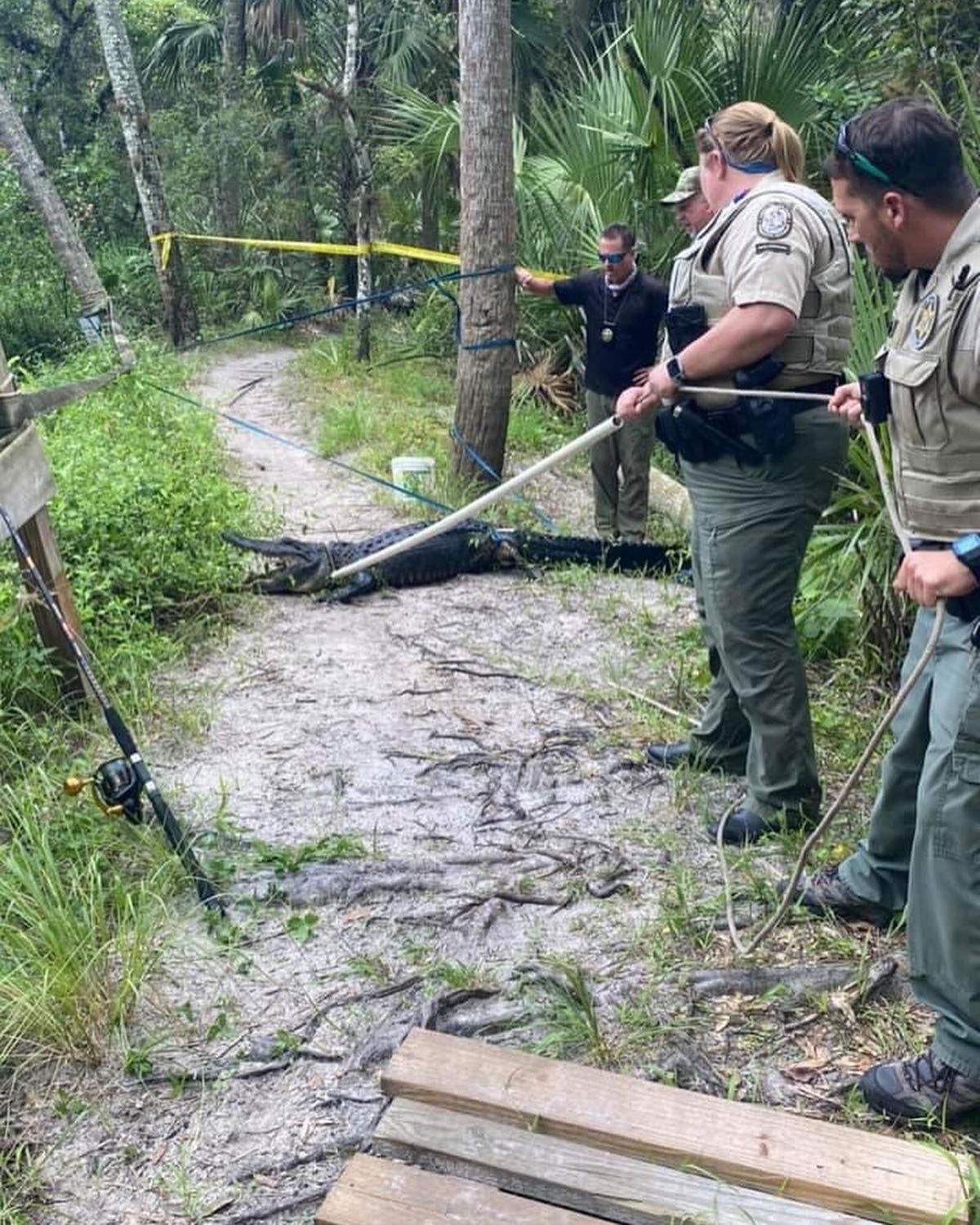 <i>Martin County Sheriff's Office</i><br/>A cyclist was bitten by an alligator and suffered severe injuries after he crashed his bike and fell into the water in a Florida park