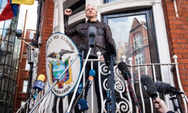 Julian Assange raises his fist as he steps out to speak to the media from the balcony of the Embassy Of Ecuador on May 19