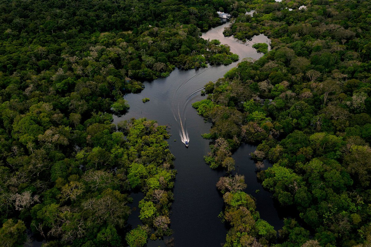 <i>Florence Goisnard/AFP/Getty Images</i><br/>The Jurura river in Carauari is shown in the heart of the Brazilian Amazon