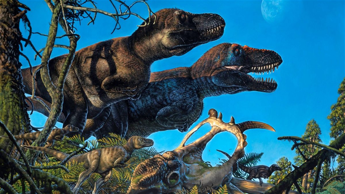 <i>Courtesy James Havens</i><br/>Researchers discovered embryos and just-hatched dinosaurs from seven species