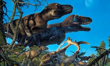 Researchers discovered embryos and just-hatched dinosaurs from seven species