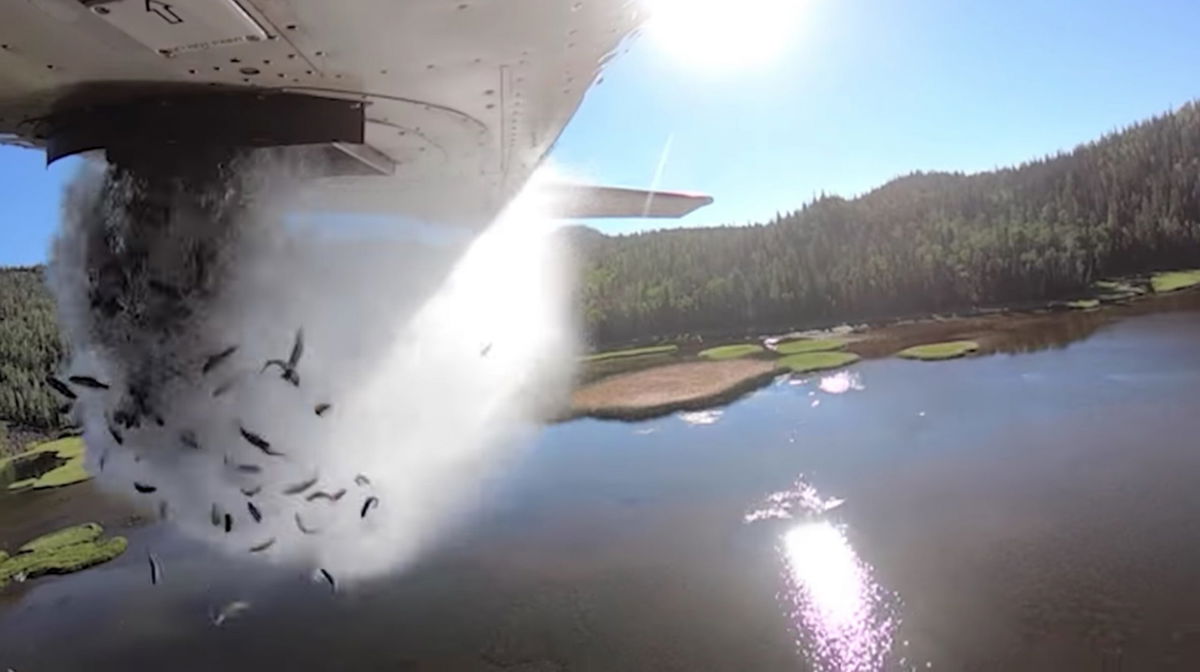 <i>From Utah Division of Wildlife Resources</i><br/>Petite trout cascade out of the bottom of a low-flying plane over a mountainous Utah lake.
