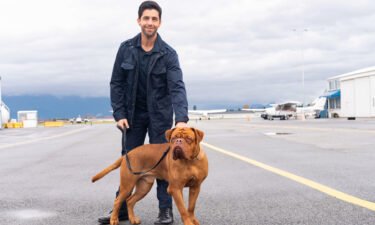 Josh Peck plays a US Marshal who inherits his dad's dog in 'Turner & Hooch.'
