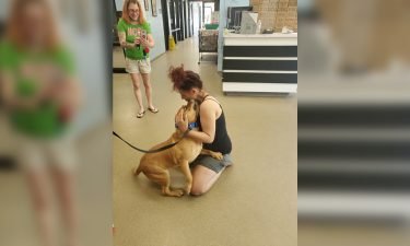 Aisha Nieves was looking for a dog to adopt when she stumbled upon Kovu