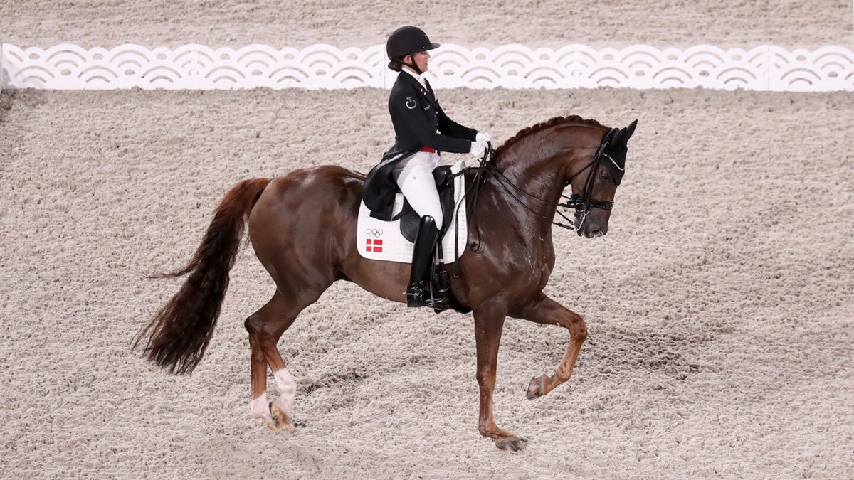 A rider rides a horse through a dressage test in an arena