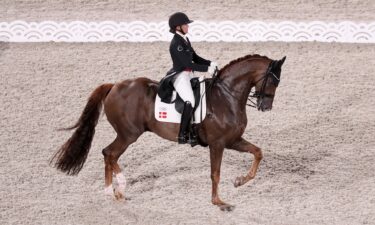 A rider rides a horse through a dressage test in an arena