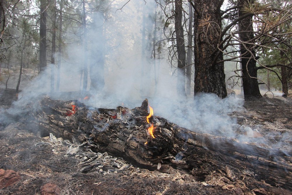 A log continues to to burn after the surface fire has passed. Critically dry conditions make forest fuels, like large logs available to be consumed by the fire