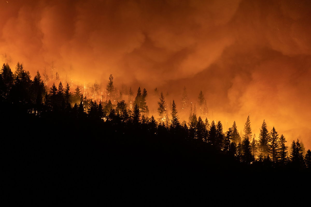 <i>Trevor Bexon/Getty Images</i><br/>A former college instructor has been arrested and charged with starting a fire in drought-ravaged Northern California near the massive Dixie Fire