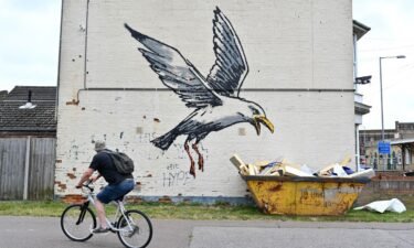 A cyclist rides past a stensil of a gull about to swoop down onto a carton of chips