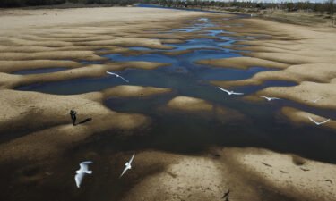 Birds fly over the exposed riverbed of the Old Parana River during a drought in Rosario