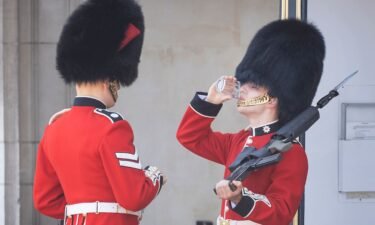 A member of the Coldstream Guards