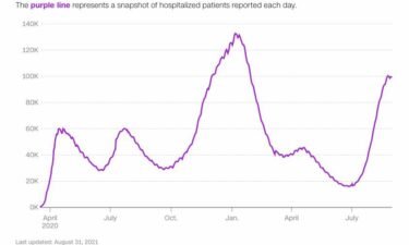 The purple line represents a snapshot of hospitalized patients reported each day.